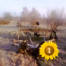 Осень жизни