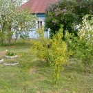 май в деревне