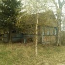 федеево