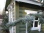 greenbirch